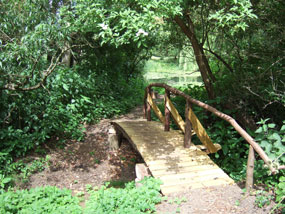Bridge from yurt to the backwater